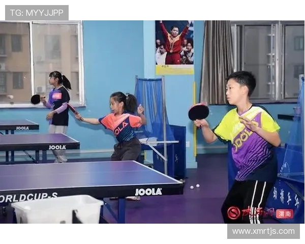 乒乓球激发全民健身热潮助力体育强国建设新篇章