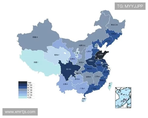 独家分析：武汉篮球队的技术对比