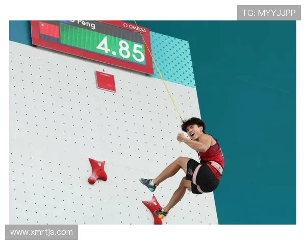 重庆攀岩队与武汉攀岩队赛后战术分析与总结探讨