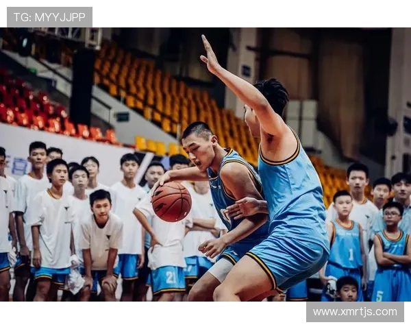 以篮球为纽带探寻团队协作与青春拼搏精神的深层力量